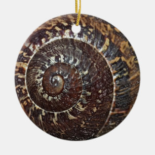 Snail Shell Ornament