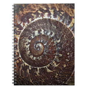 Snail Shell Spiral Notebook