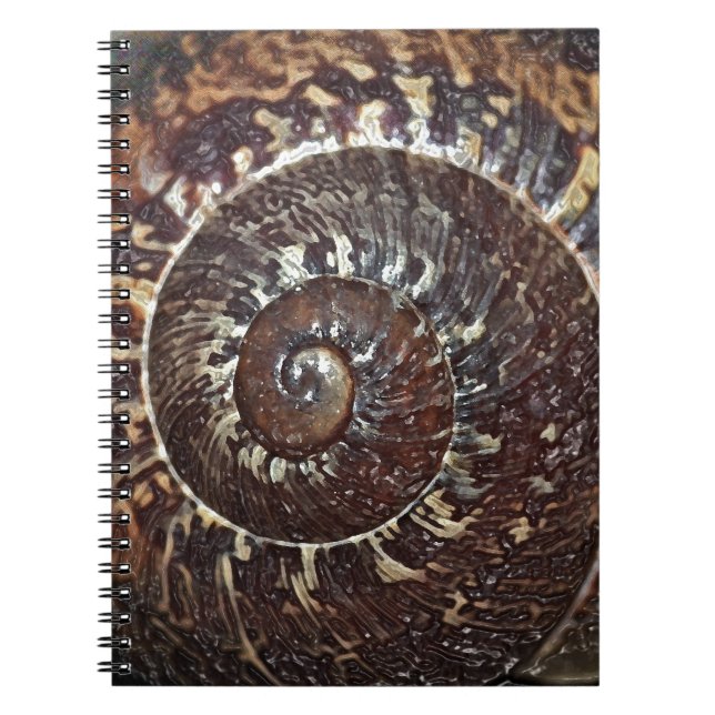 Snail Shell Spiral Notebook (Front)