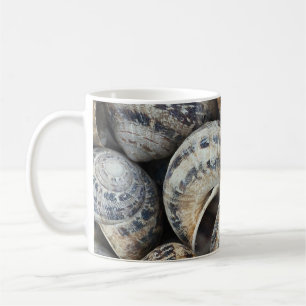 Snail shells coffee mug