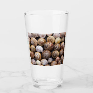 Snail Shells Glass