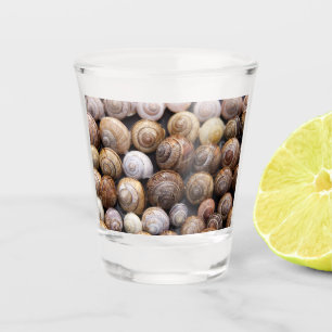 Snail Shells Shot Glass