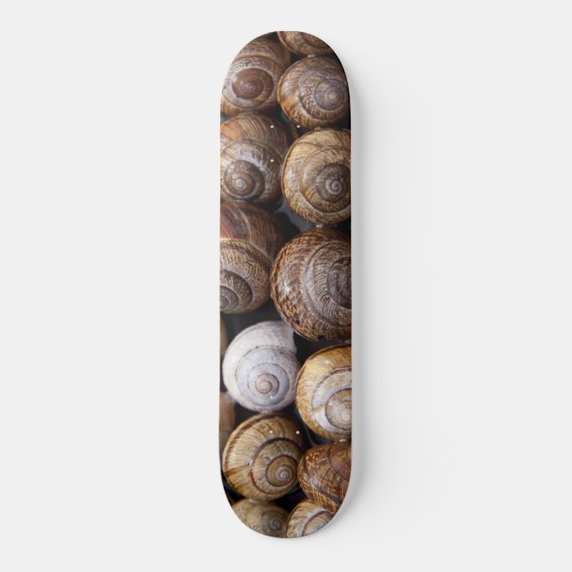 Snail Shells Skateboard (Front)