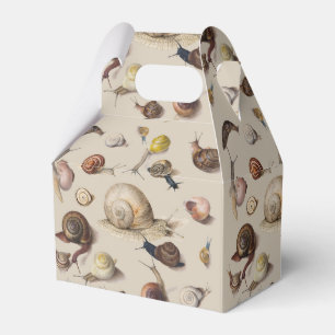 Snail Slug Garden Pet Gastropod Botanical Snails Favour Box