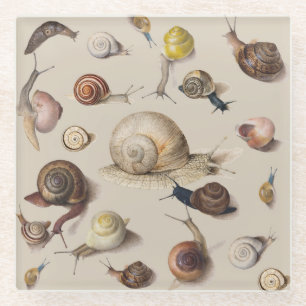 Snail Slug Garden Pet Gastropod Botanical Snails Glass Coaster