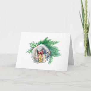 Snail & Squirrel V - Winter 2016 Holiday Card