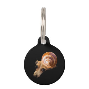 Snail tag