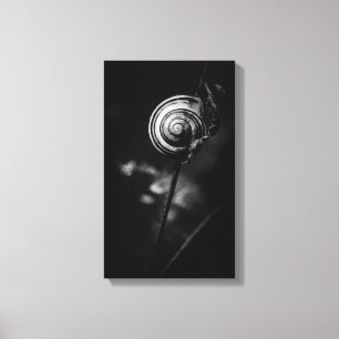 snail tail canvas print