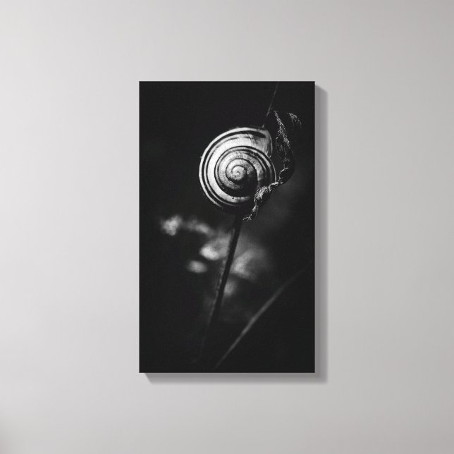 snail tail canvas print (Front)