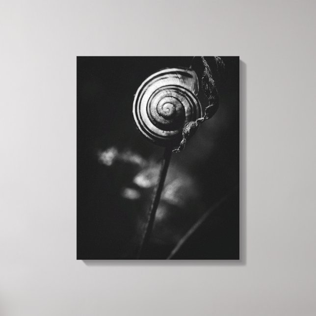 snail tail canvas print (Front)