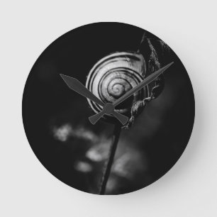 snail tail round clock