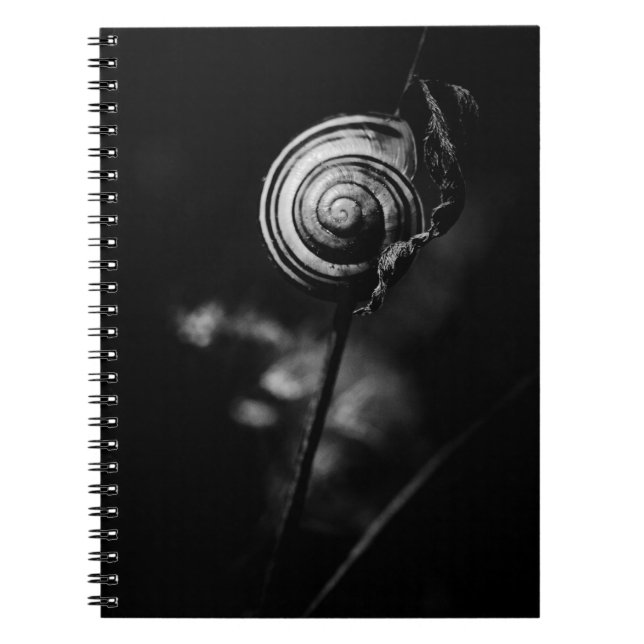 snail tail spiral notebook (Front)