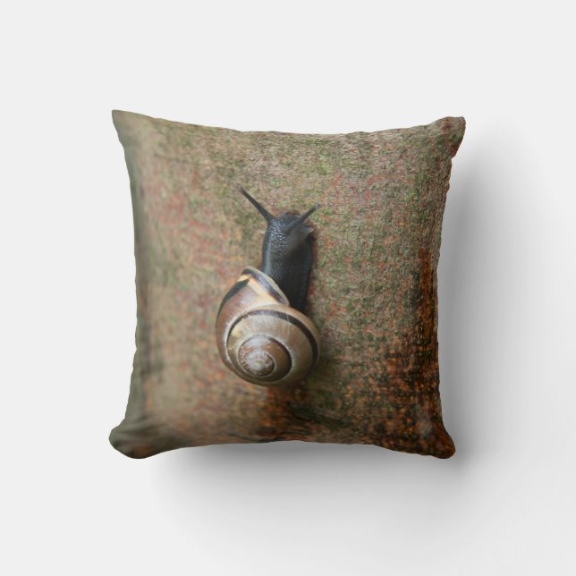 Snail Throw pillow (Front)