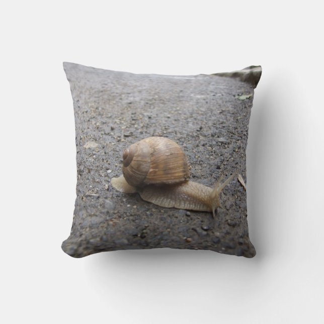 snail walk cushion (Front)