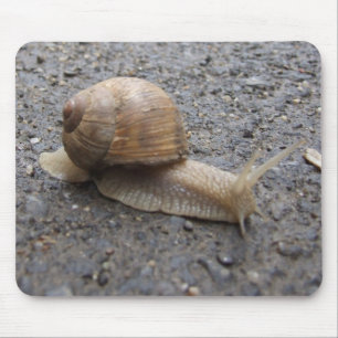 snail walk mouse pad