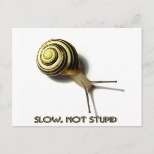 SNAIL WITH CAPTION FROM JUNGLEWALK.COM POSTCARD