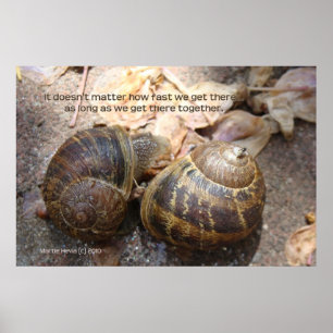 Snails in Love Poster