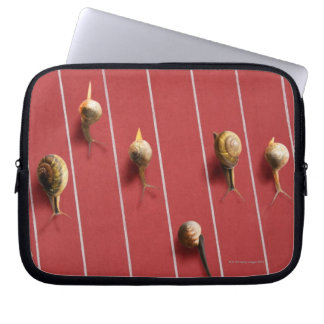 Snails running on the truck laptop sleeve