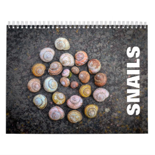 Snails Wall Calendar