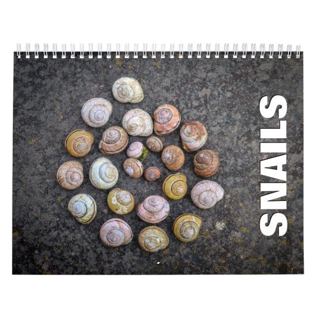 Snails Wall Calendar (Cover)