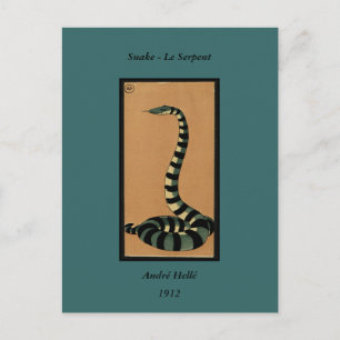 Snake - Antiquarian, Colourful Book Illustration Postcard