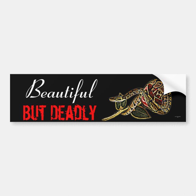 Snake bumper sticker python (Front)