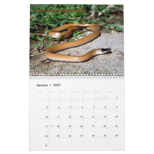 Snake Calendar (Jan 2027)