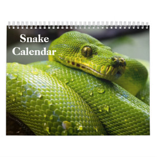 Snake Calendar 2025