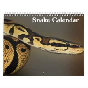 Snake Calendar 2026