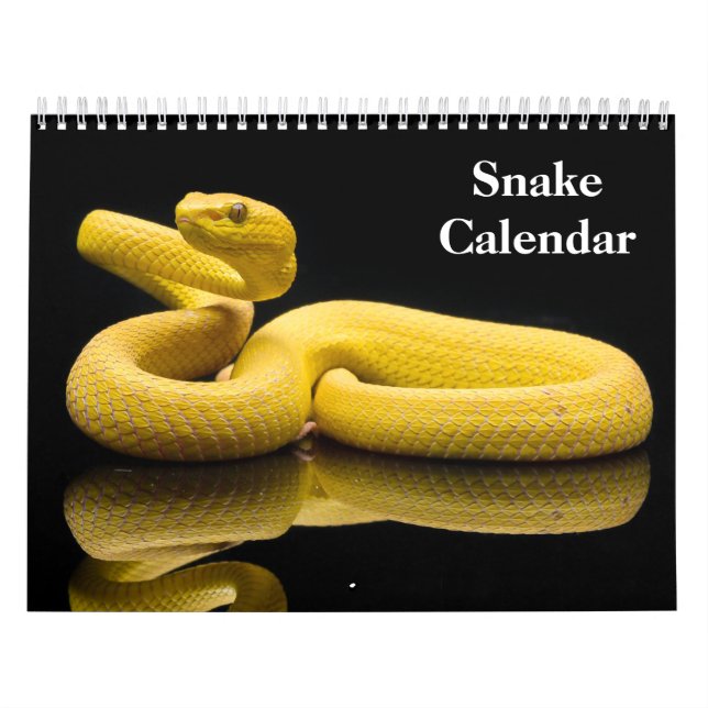 Snake Calendar 2027 (Cover)
