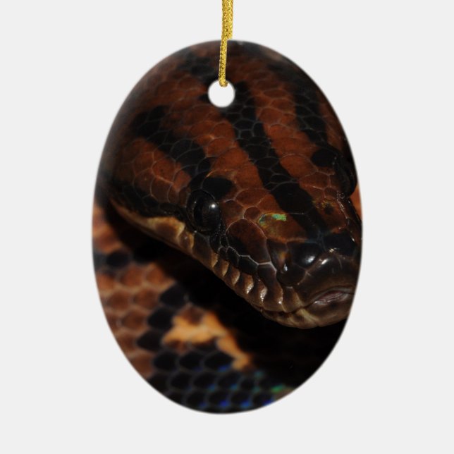 Snake Ceramic Tree Decoration (Front)