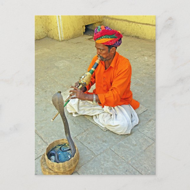 Snake Charmer In India Postcard (Front)