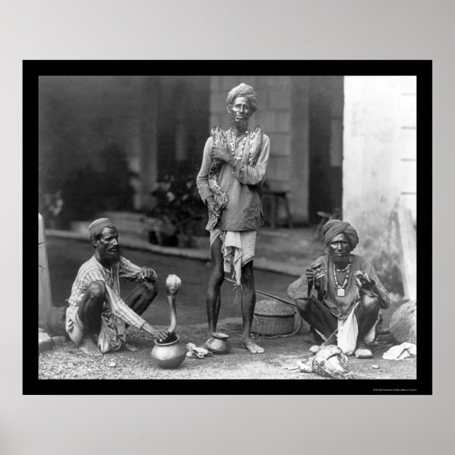 Snake Charmers With Their Cobras in India 1898 Poster (Front)