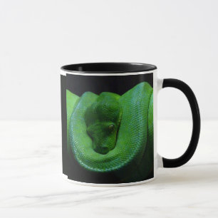 Snake Cup