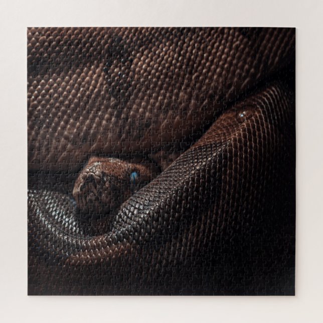 Snake-face Puzzle (Vertical)