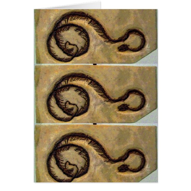 Snake Fossil CB (Front)