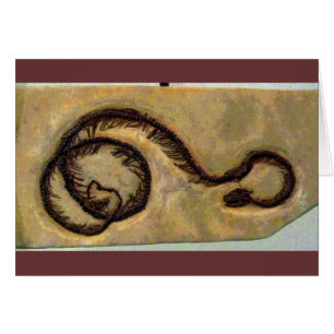 Snake Fossil CB