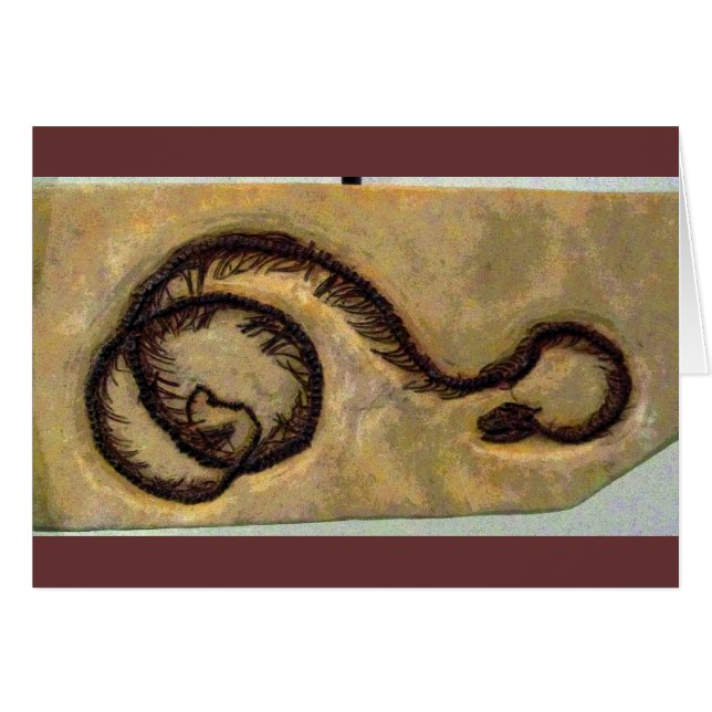 Snake Fossil CB (Front Horizontal)