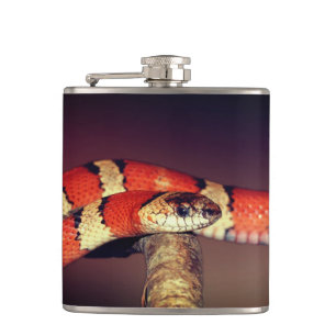 Snake Hip Flask