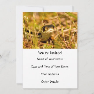 Snake in the Grass Invitation