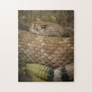 snake jigsaw puzzle