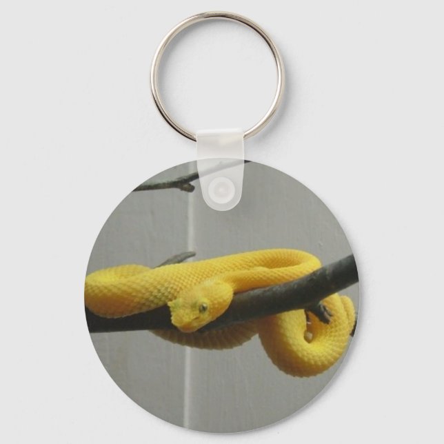 Snake Key Ring (Front)