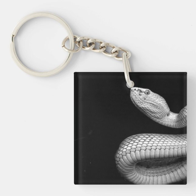 Snake Key Ring (Front)