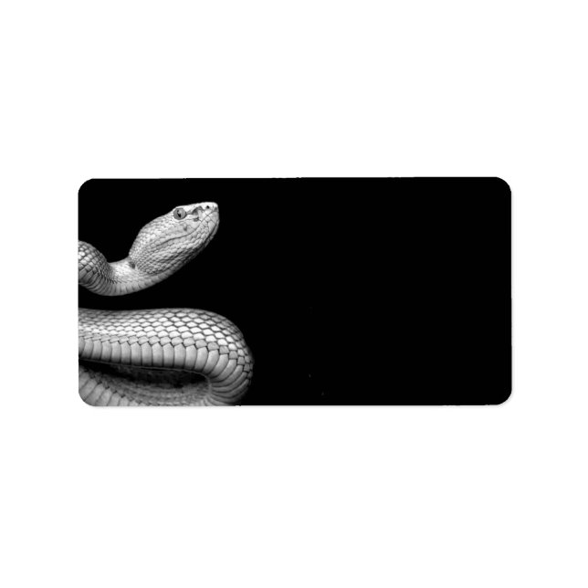 Snake Label (Front)