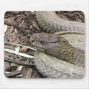 Snake Mouse Pad