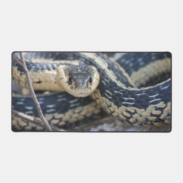 Snake pad  (Front)