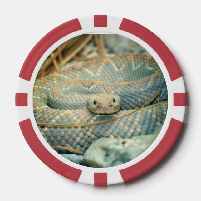 Snake poker chips (Front)