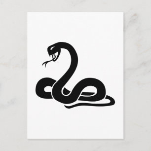 Snake Postcard