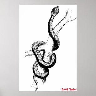 Snake Poster