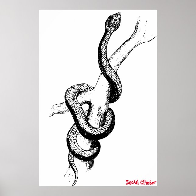 Snake Poster (Front)
